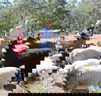 Haigslea EWE Nique Hobby Farm - Schoolies Week Accommodation