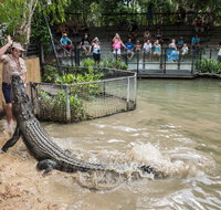 Hartley's Crocodile Adventures - Schoolies Week Accommodation