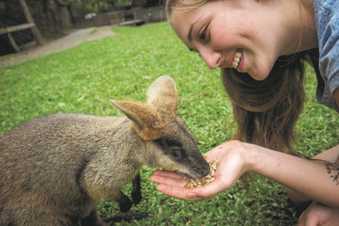 Hartley's Crocodile Adventures - Schoolies Week Accommodation 2