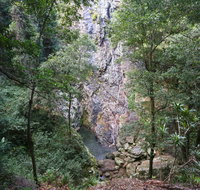 Kondalilla Falls Circuit Kondalilla National Park - Schoolies Week Accommodation