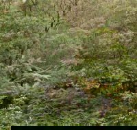 Lind National Park - Schoolies Week Accommodation