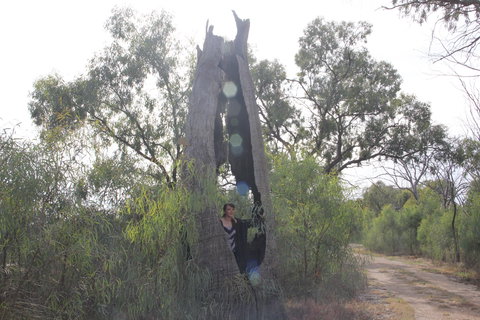 Martin Bend Wetland And Walking Trail - Schoolies Week Accommodation 1