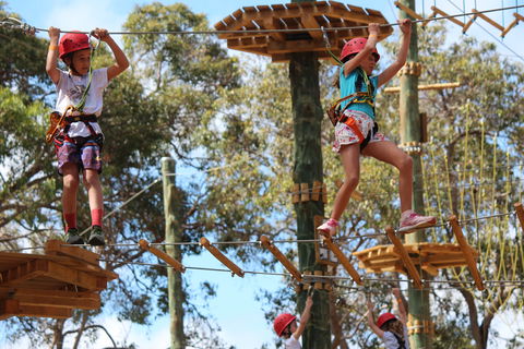 Next Level Monkey Business - Schoolies Week Accommodation 0