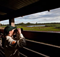 Reed Beds Bird Hide Boardwalk