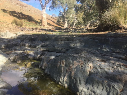 Three Creeks Station -Arkaroona Creek Walk - Schoolies Week Accommodation 0