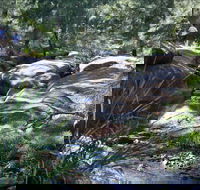 Washpools waterhole - Schoolies Week Accommodation