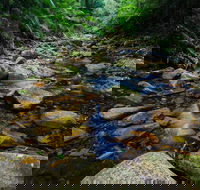 Willi Willi National Park - Schoolies Week Accommodation