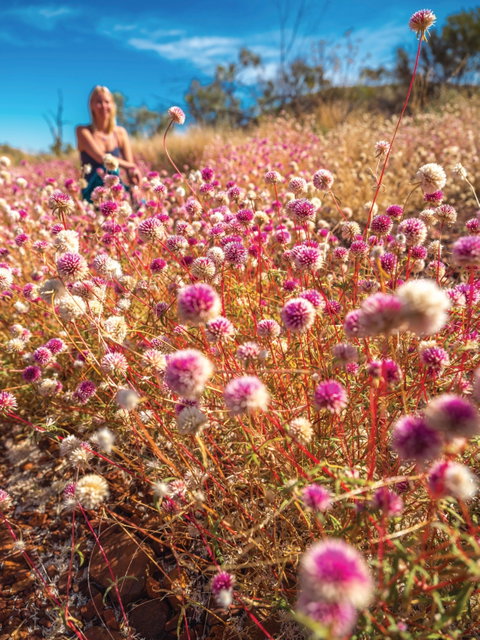Wineries And Wildflowers - Schoolies Week Accommodation 0