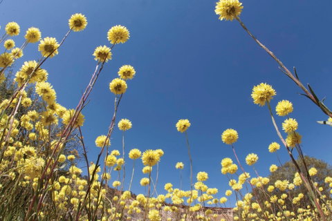 Wineries And Wildflowers - Schoolies Week Accommodation 2