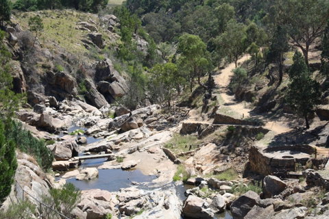 Adelong Falls Gold Mill Ruins - Schoolies Week Accommodation 1