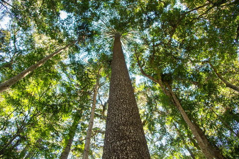 Big Sky National Parks - Schoolies Week Accommodation 0