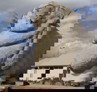 Big Merino - Schoolies Week Accommodation