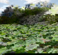 Couzens Lookout - Schoolies Week Accommodation