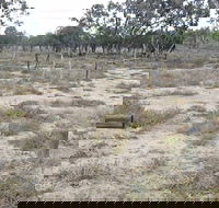 Culgoa Connellys Track - Schoolies Week Accommodation