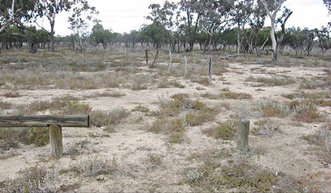 Culgoa Connellys Track - Schoolies Week Accommodation 0