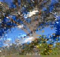 Euroa Arboretum - Schoolies Week Accommodation