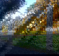 Mansfield Botanic Park - Schoolies Week Accommodation