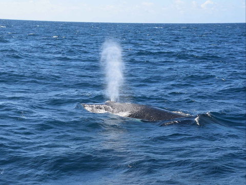 Minyama - Schoolies Week Accommodation 0