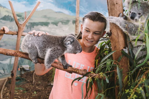 Oakvale Wildlife Park - Schoolies Week Accommodation 0
