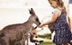 Oakvale Wildlife Park - thumb 1