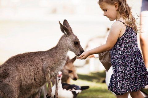 Oakvale Wildlife Park - Schoolies Week Accommodation 1