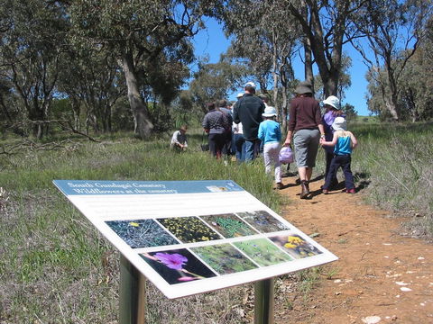 South Gundagai Woodlands Walk - Schoolies Week Accommodation 0
