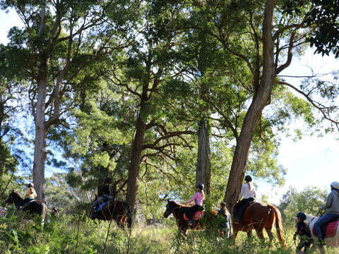 The Outlook Riding Academy - Schoolies Week Accommodation 0