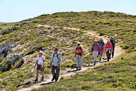 The Sole Walk At Hillocks Drive - Schoolies Week Accommodation 0