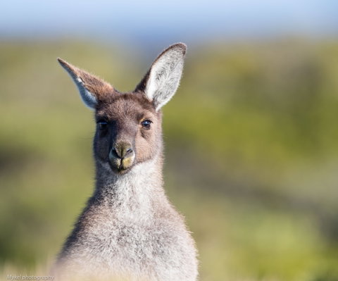 The Sole Walk At Hillocks Drive - Schoolies Week Accommodation 1