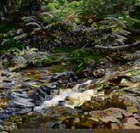 Budderoo National Park - Schoolies Week Accommodation