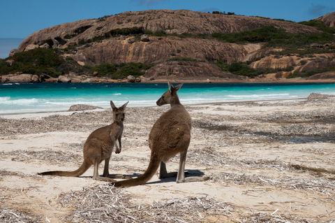 Cape Le Grand National Park - Schoolies Week Accommodation 0