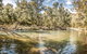 Flea Creek Picnic Area - thumb 0
