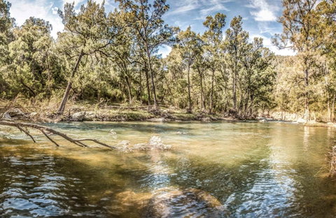 Flea Creek Picnic Area - Schoolies Week Accommodation 0