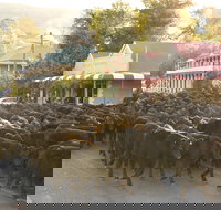 Jugiong - Schoolies Week Accommodation