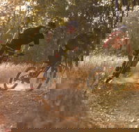 Kholo Gardens Trails - Schoolies Week Accommodation
