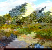 Mansfield Mullum Wetlands - Schoolies Week Accommodation