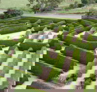 Mintaro Maze - Schoolies Week Accommodation