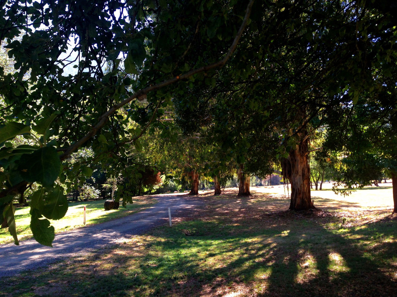 Mirimbah VIC Schoolies Week Accommodation