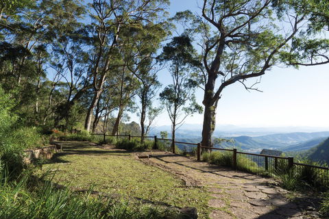 Morans Falls Track, Lamington National Park - Schoolies Week Accommodation 1