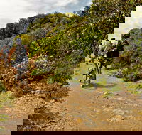 Mountain Biking Trails - Schoolies Week Accommodation