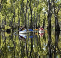 Murray River canoe trails