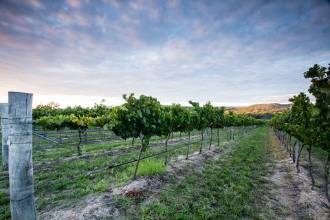 Nature And Foodies Trail - Schoolies Week Accommodation 0