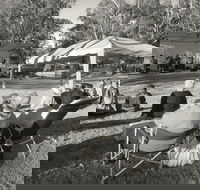 Pioneer Park - Schoolies Week Accommodation