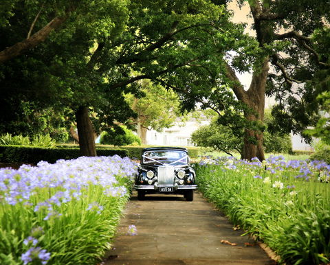 Queens Park, Toowoomba - Schoolies Week Accommodation 2