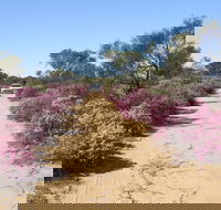Reynoldson's Flora Reserve - Schoolies Week Accommodation