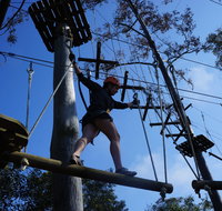 Trees Adventure Nowra Park - Schoolies Week Accommodation