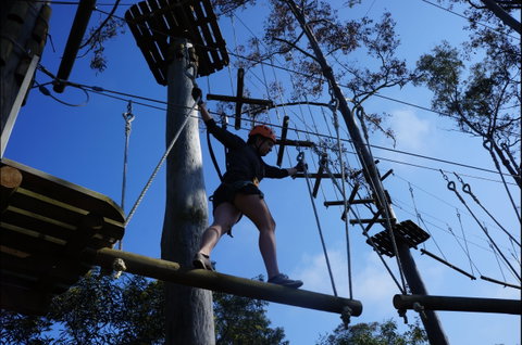Trees Adventure Nowra Park - Schoolies Week Accommodation 0