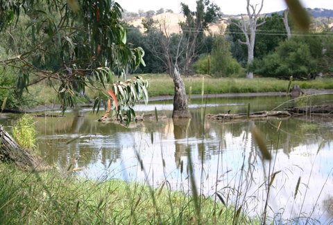 Tumut Wetlands - Schoolies Week Accommodation 0