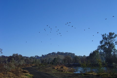 Tumut Wetlands - Schoolies Week Accommodation 1