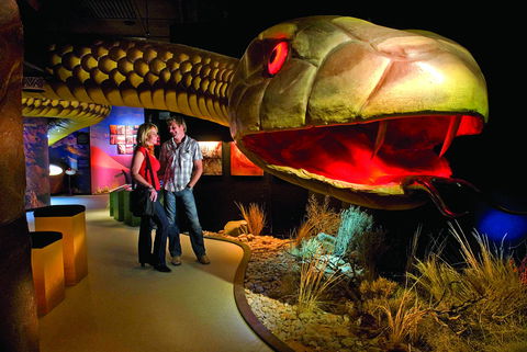 Wadlata Outback Centre - Schoolies Week Accommodation 0